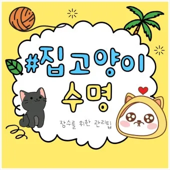 집고양이 vs 길고양이 평균 수명 차이 심층 분석_10