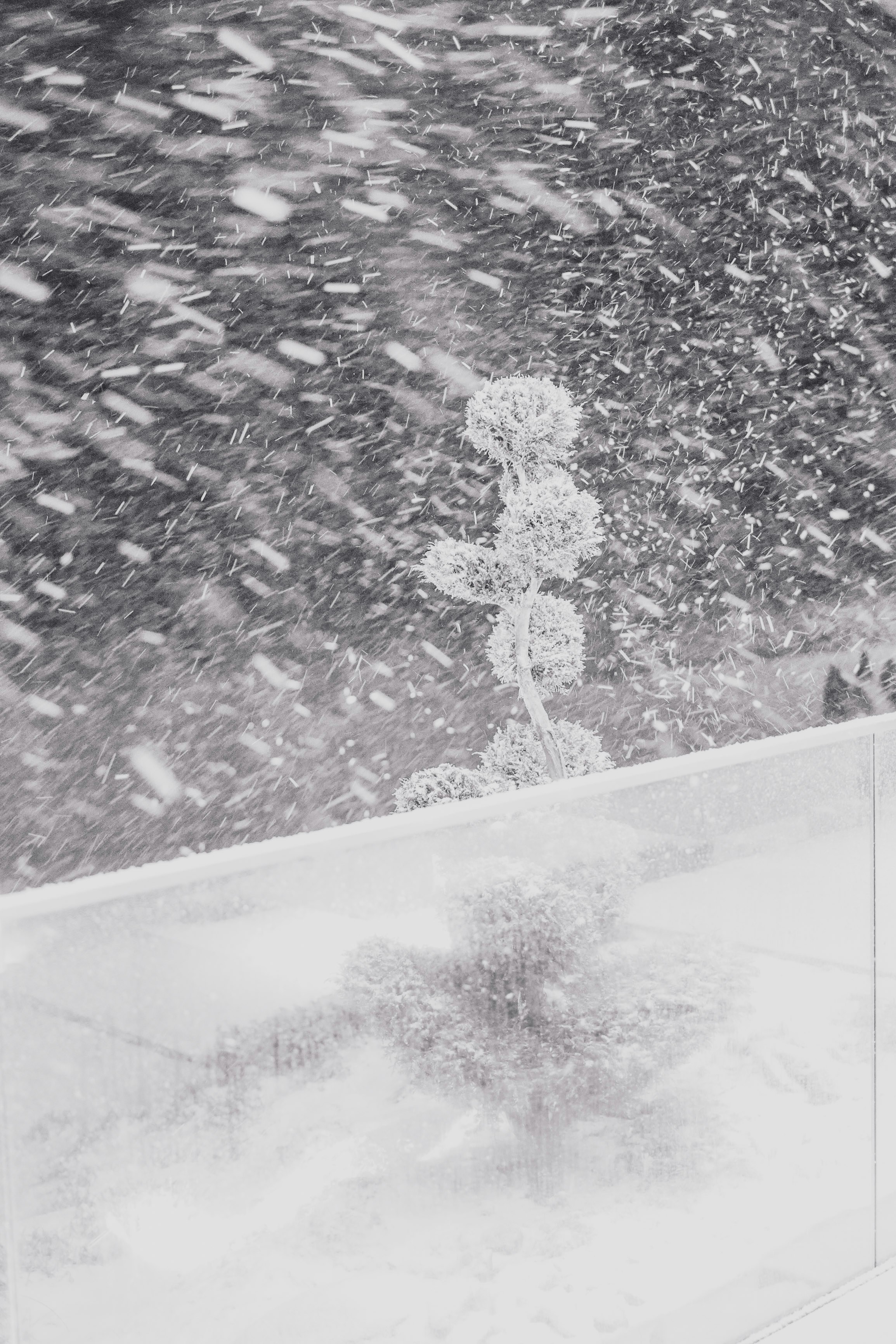 날씨 꿈 해몽 눈 꿈