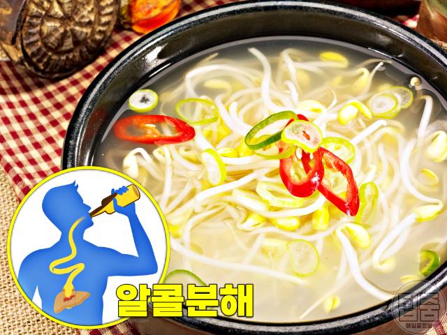 해장에 좋은 음식 해장음식 해장음료 숙취해소제