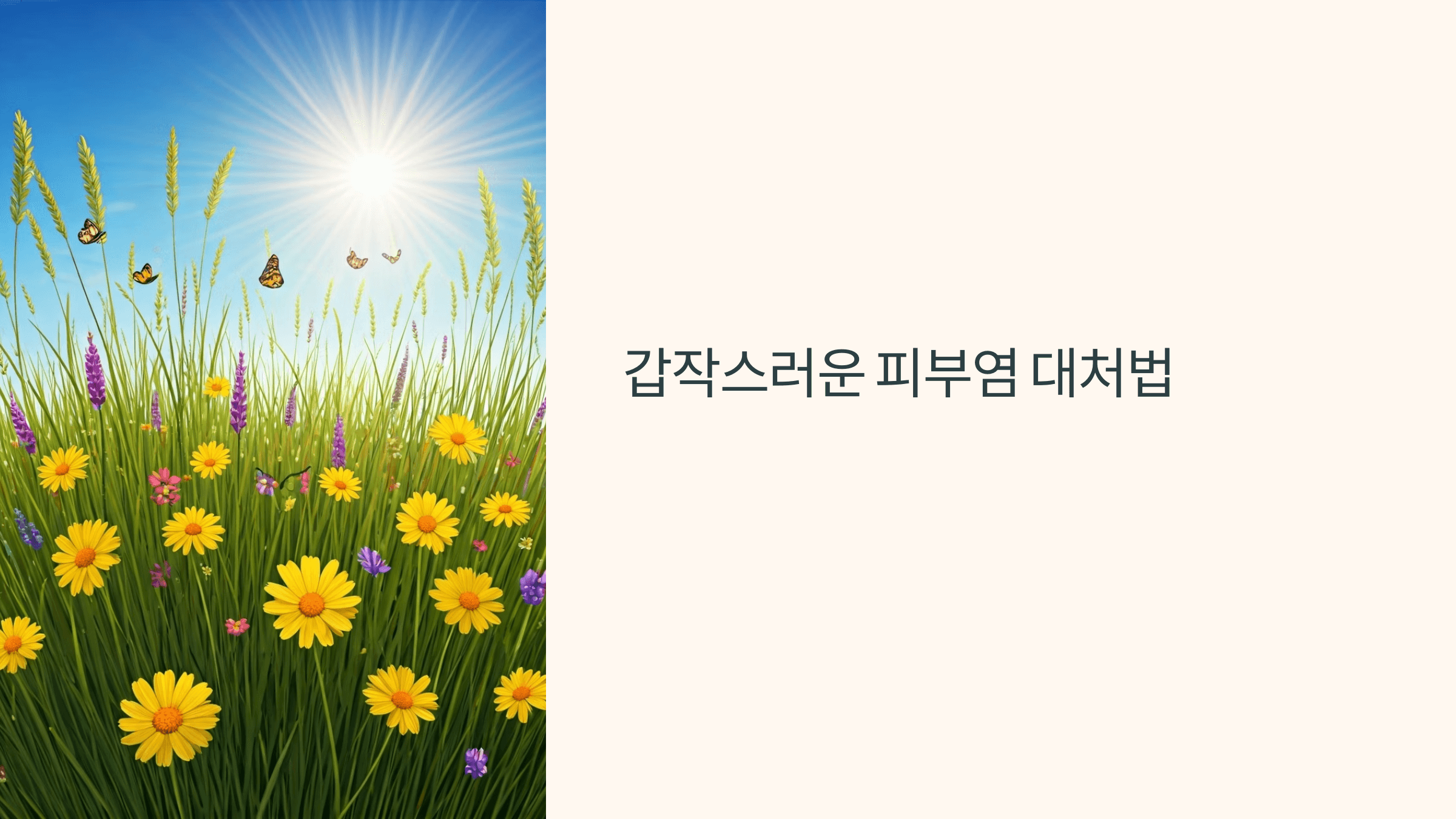 피부염 대처법