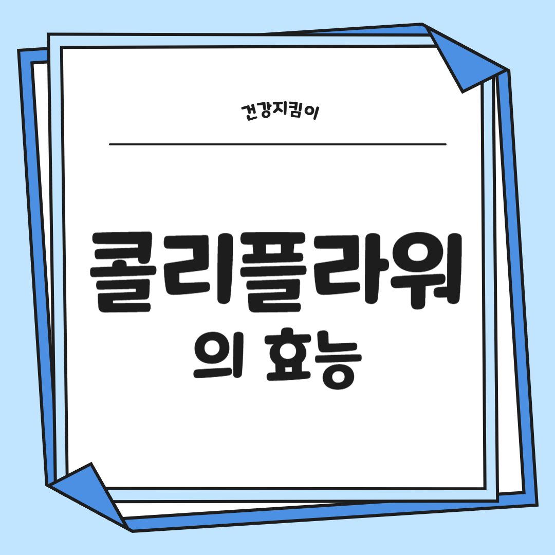 콜리플라워 효능 성분 먹는방법 부작용 고르는법