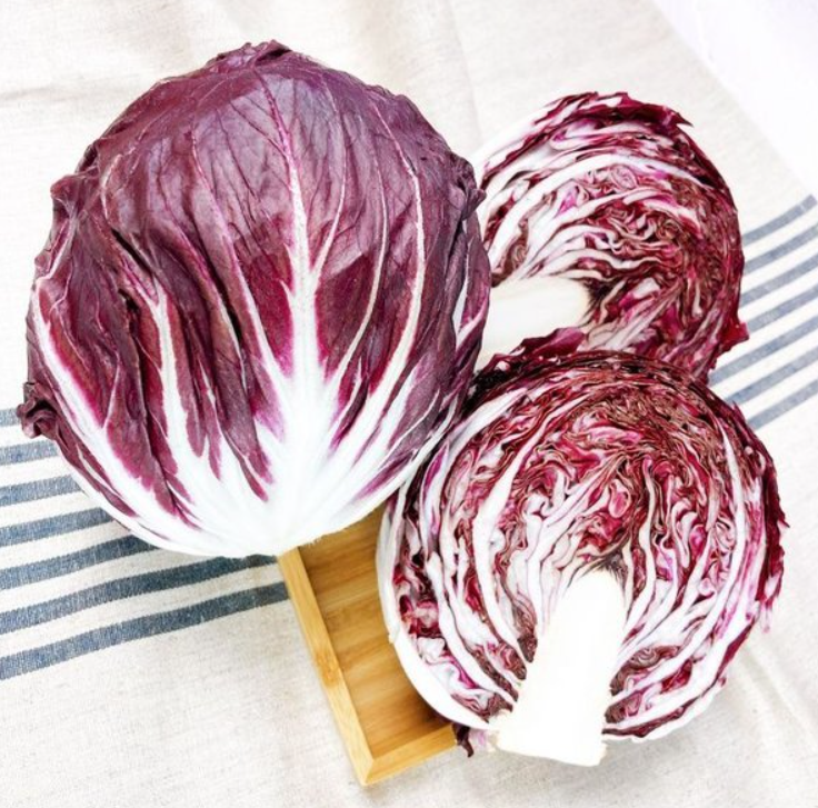 라디키오(Radicchio), 쌉싸름한 맛이 매력적인 슈퍼푸드!