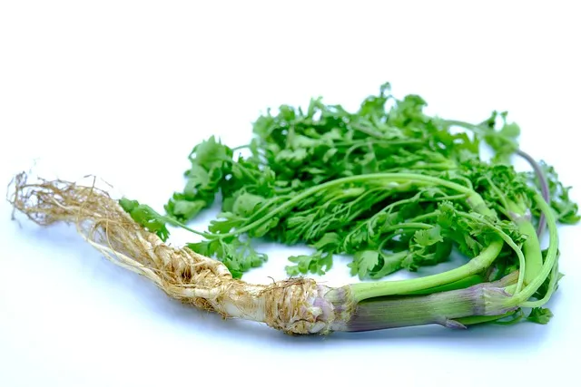 생생정보 고수의 부엌 도가니 수육 맛집 위치_8