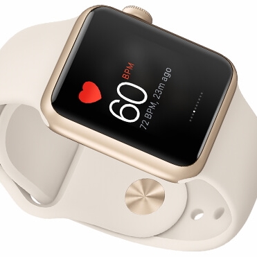 애플워치 심박수(ecg)