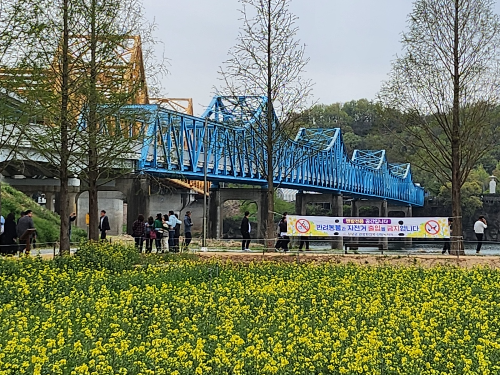 &quot;창녕 남지 철교와 유채꽃밭 풍경&quot;