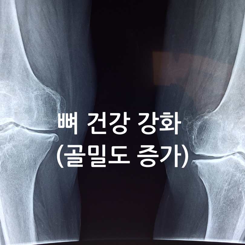 저분자 어린 콜라겐