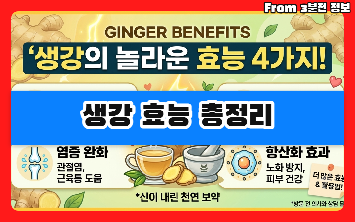 생강 효능