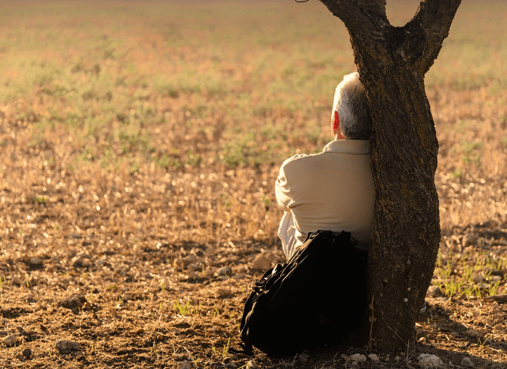 영원한 휴식을 바라며 전하는 장례식 인사말