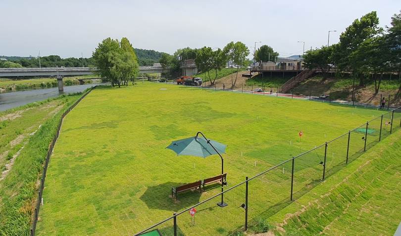 서울 파크골프장 TOP 7 / 입문자부터 시니어까지 추천 코스 총정리