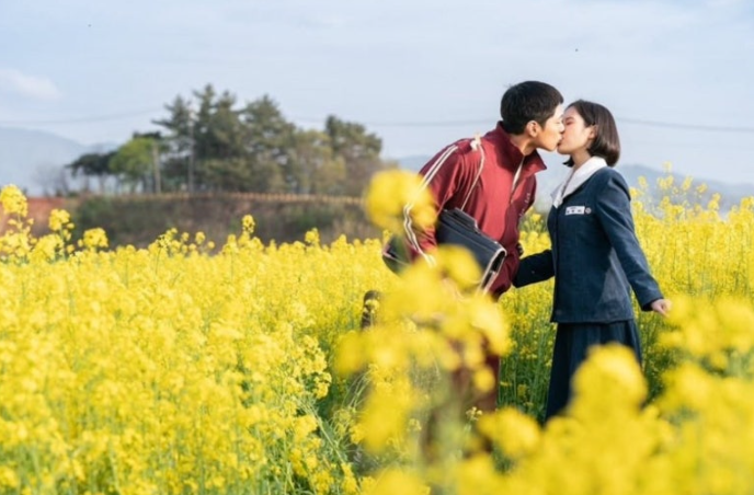 고창 청보리밭 축제, '폭싹 속았수다' 촬영지에서 즐기는 봄🌿