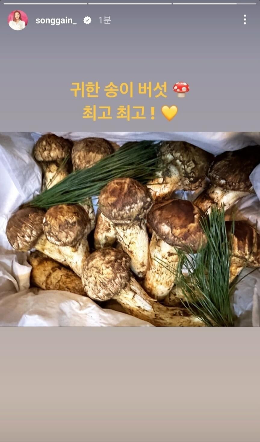 송가인 팬 어게인 음식선물 인증