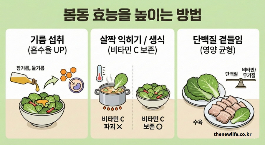 봄동 효능을 높이는 섭취 방법 3가지. 베타카로틴 흡수를 돕는 기름 섭취, 비타민 C 보존을 위한 생식 조리, 단백질 부족을 채워주는 수육 곁들임