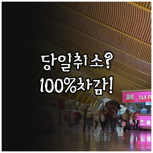 대마도 배편 취소 수수료, 당일 취소..