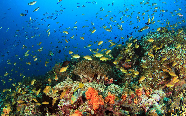 세브 여행 추천