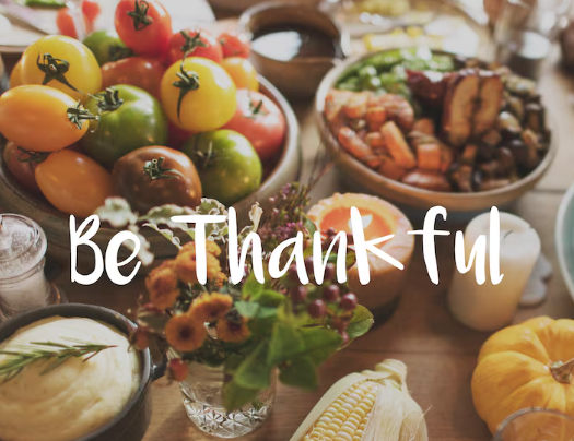 음식 감사 관련 사진