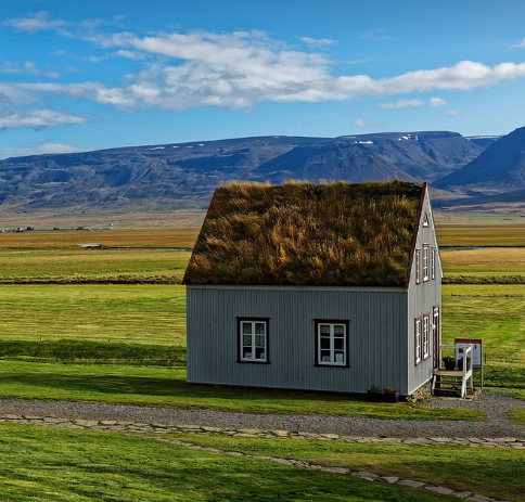 전세 보증보험 가입방법과 주의사항