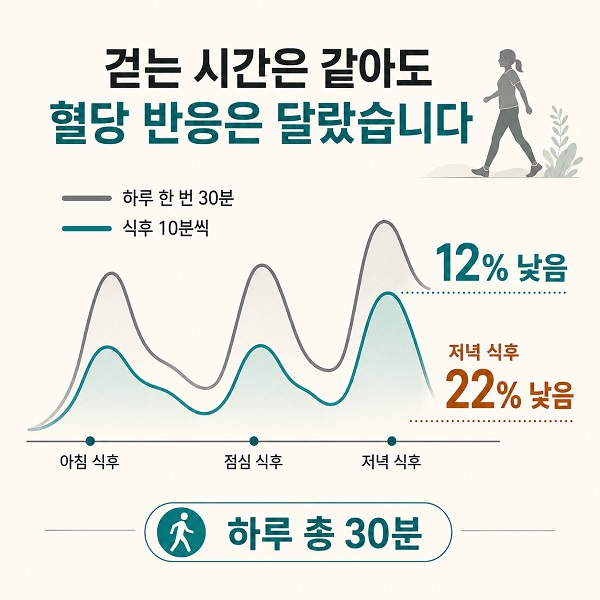 하루 한 번 30분 걷기와 세 끼 식후 10분 걷기의 혈당 반응 비교