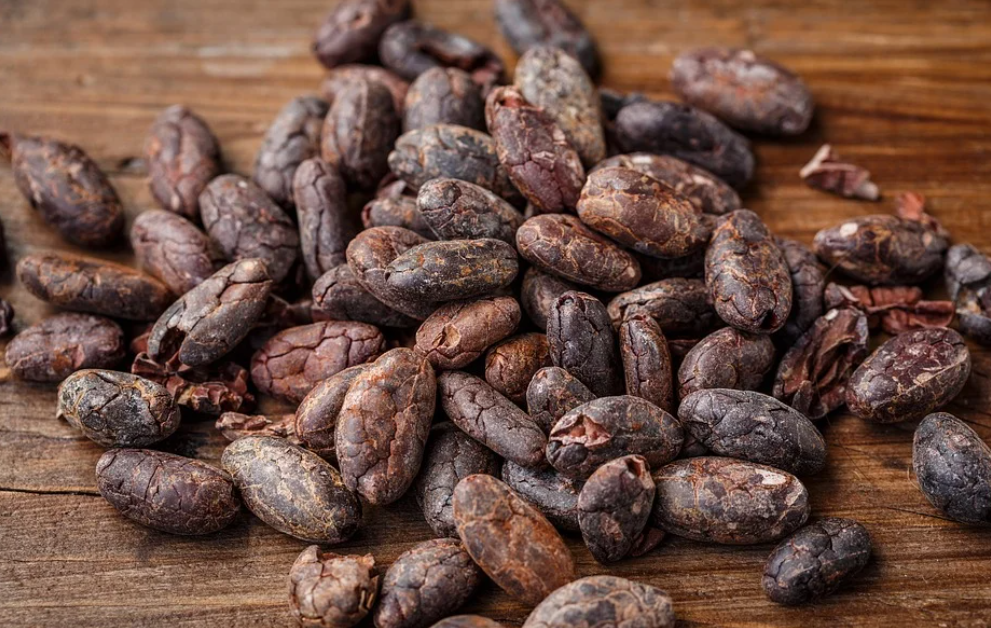 태양으로부터 피부를 보호할 수 있습니다.