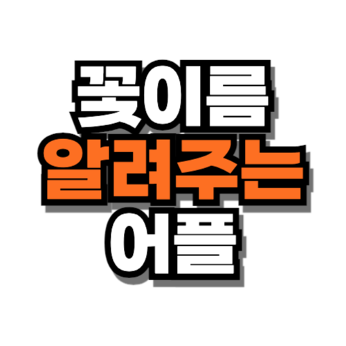 꽃이름 알려주는 어플 앱