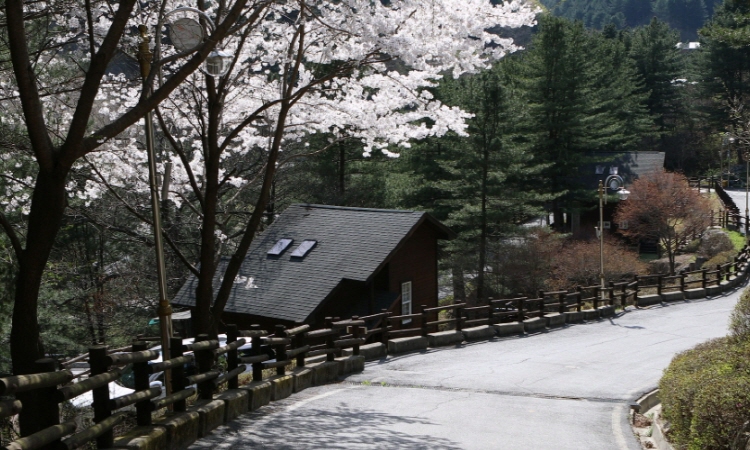 칼봉산 자연휴양림