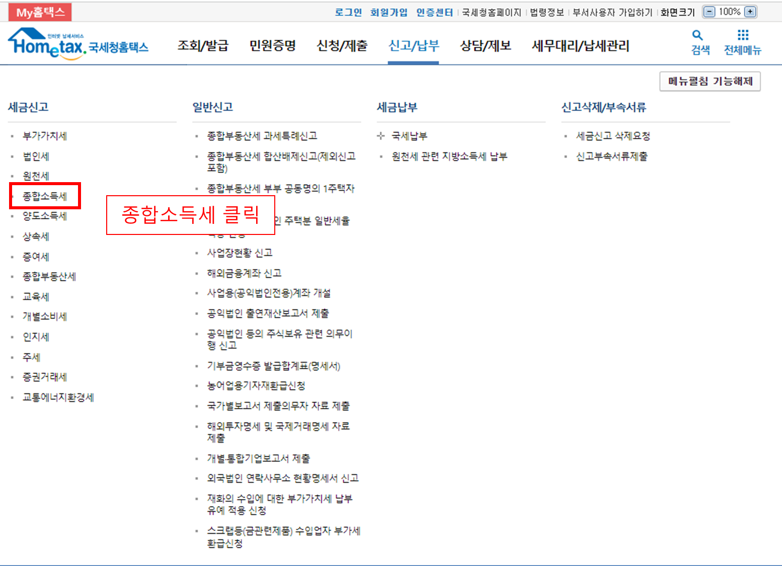 홈텍스, 종합소득세