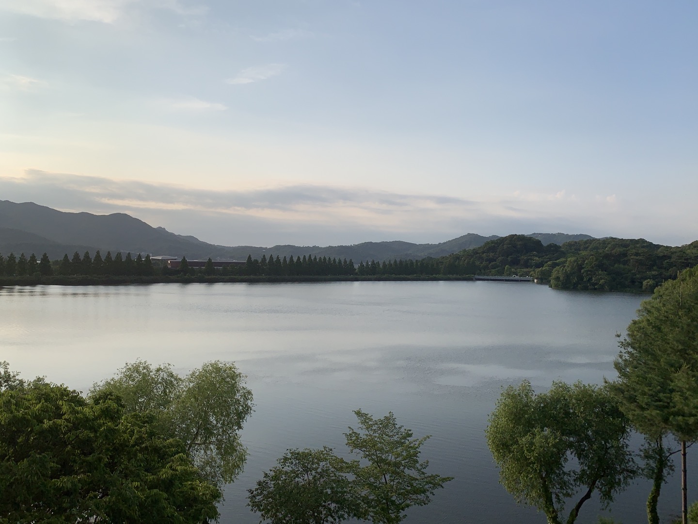 과천 서울대공원 호수