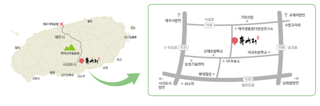 제주 휴애리 유채꽃 축제 코스 주차 맛집 일정 총정리