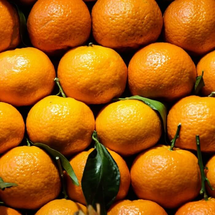 귤이-나란히-정렬된-사진