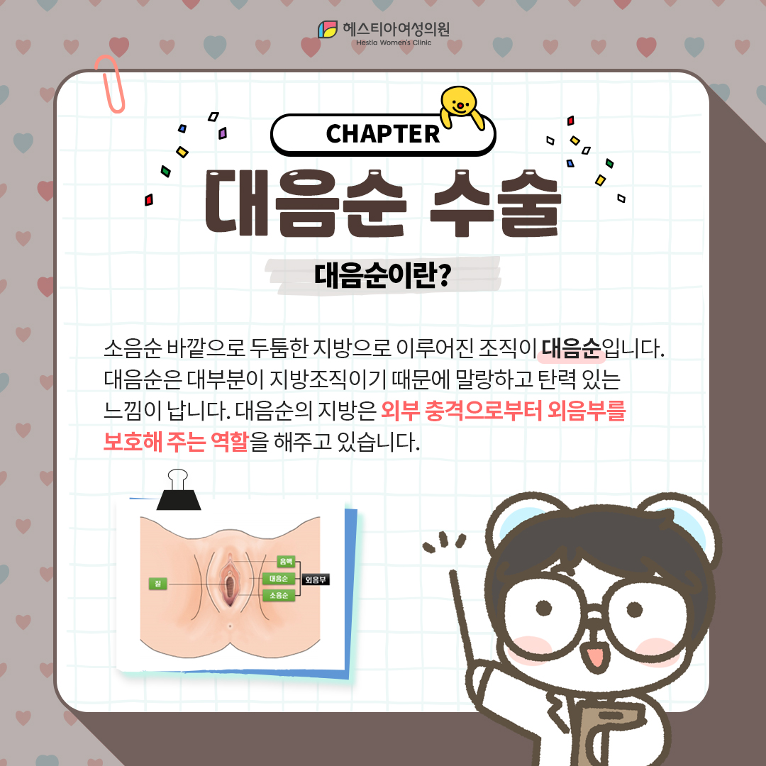 대음순이란?