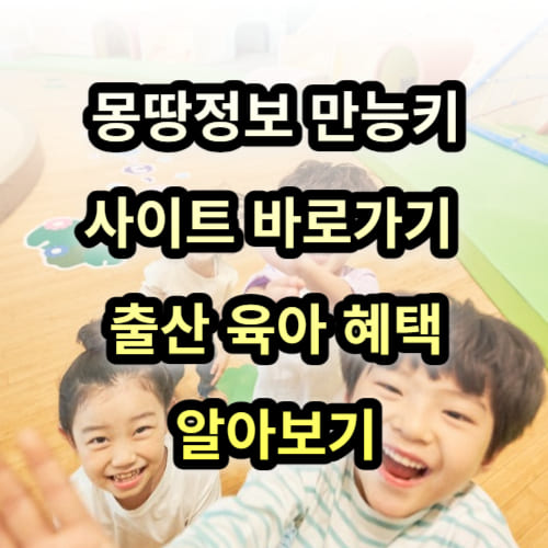 몽땅정보 만능키 바로가기 및 출산 육아 혜택 알아보기