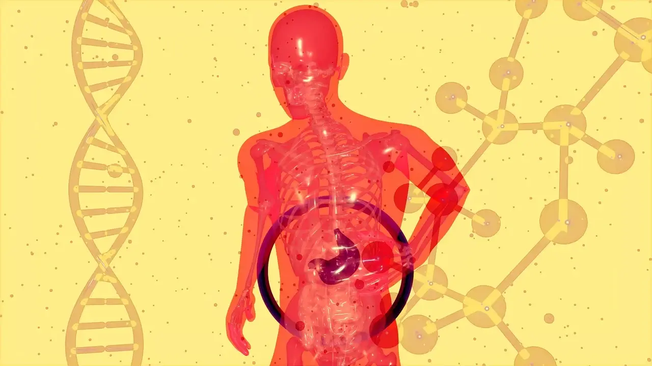 효소 다이어트
