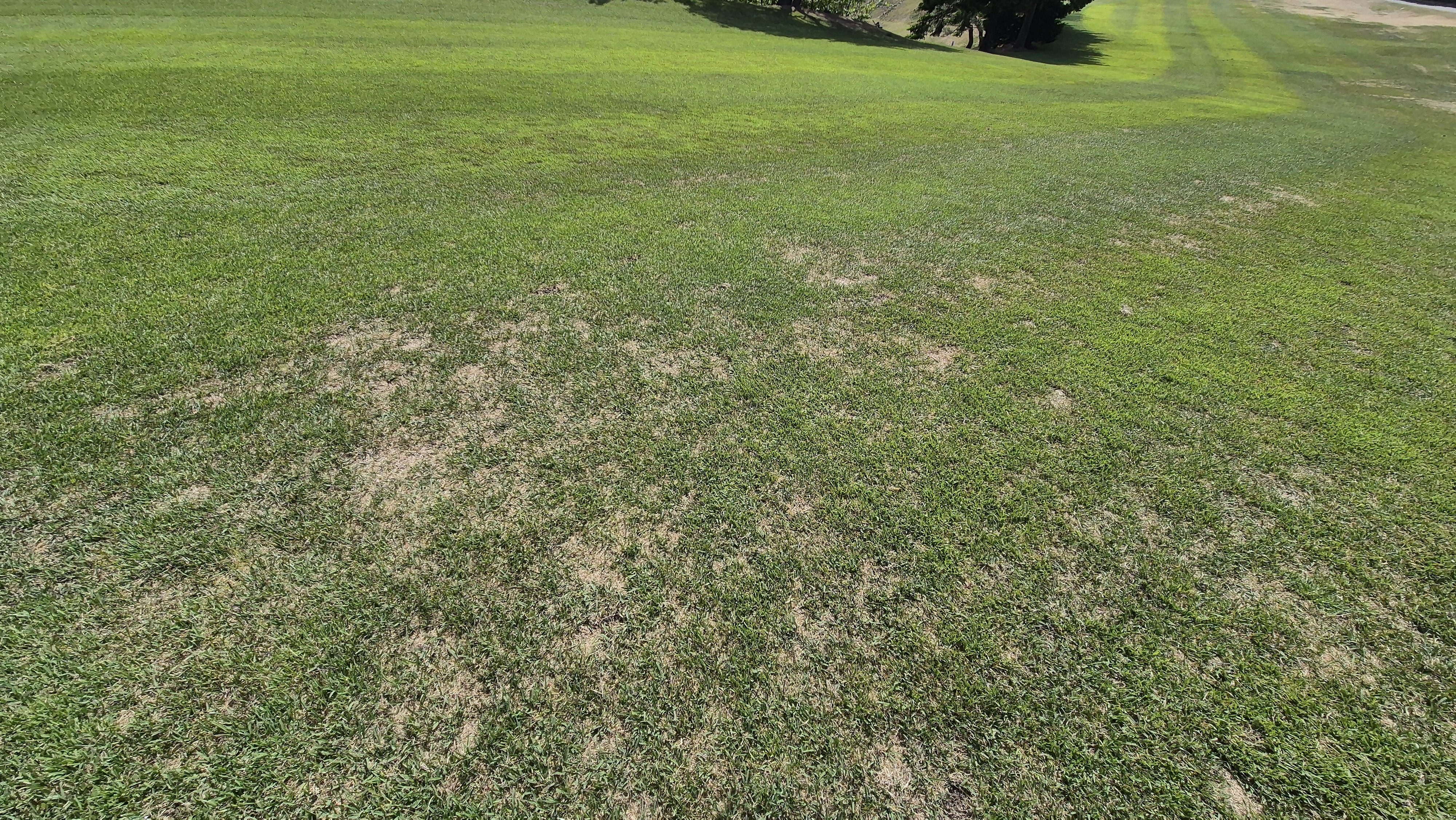 한원cc 라운드후기