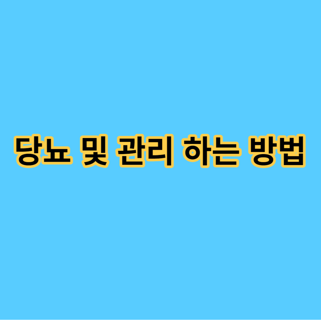 당뇨 및 관리 하는 방법