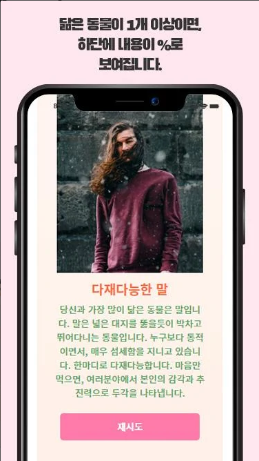 나와 닮은 동물 찾기 앱, 사진과 이미지로 얼굴 분석하기