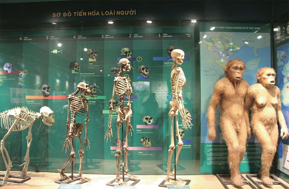 죽지 않는 미래 인류: 불멸을 향한 도전