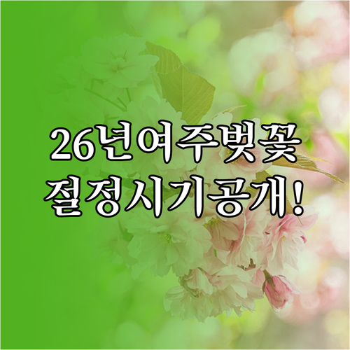 2026년 여주 벚꽃 절정 시기 및 ..