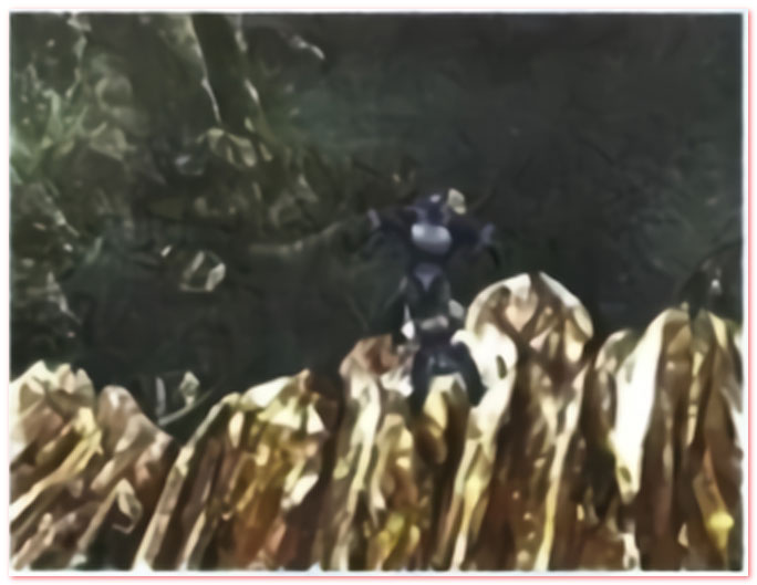 필사의 탈출. 이걸 웃어야 하는 건지~