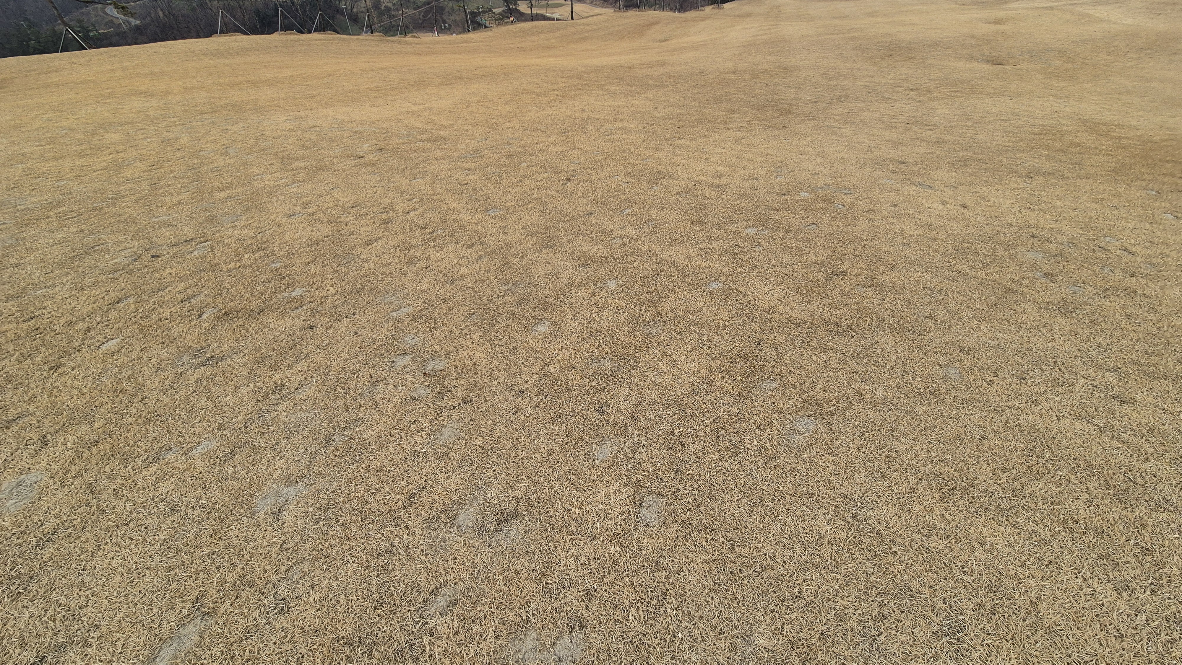 모나크cc 라운드 후기 코스관리상태