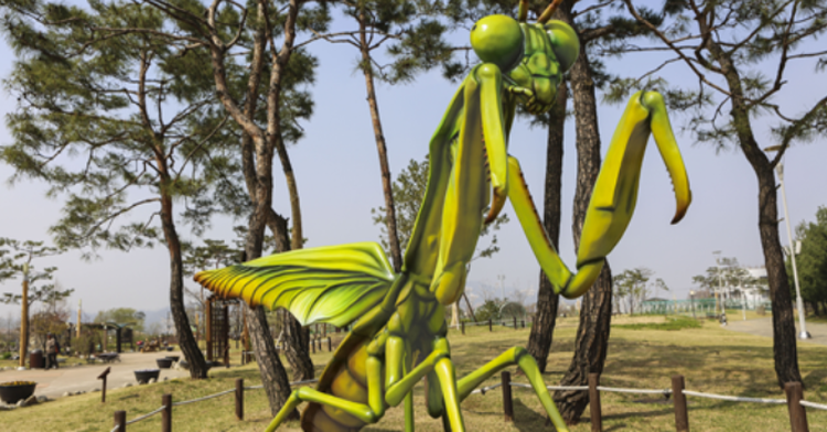 국립과천과학관