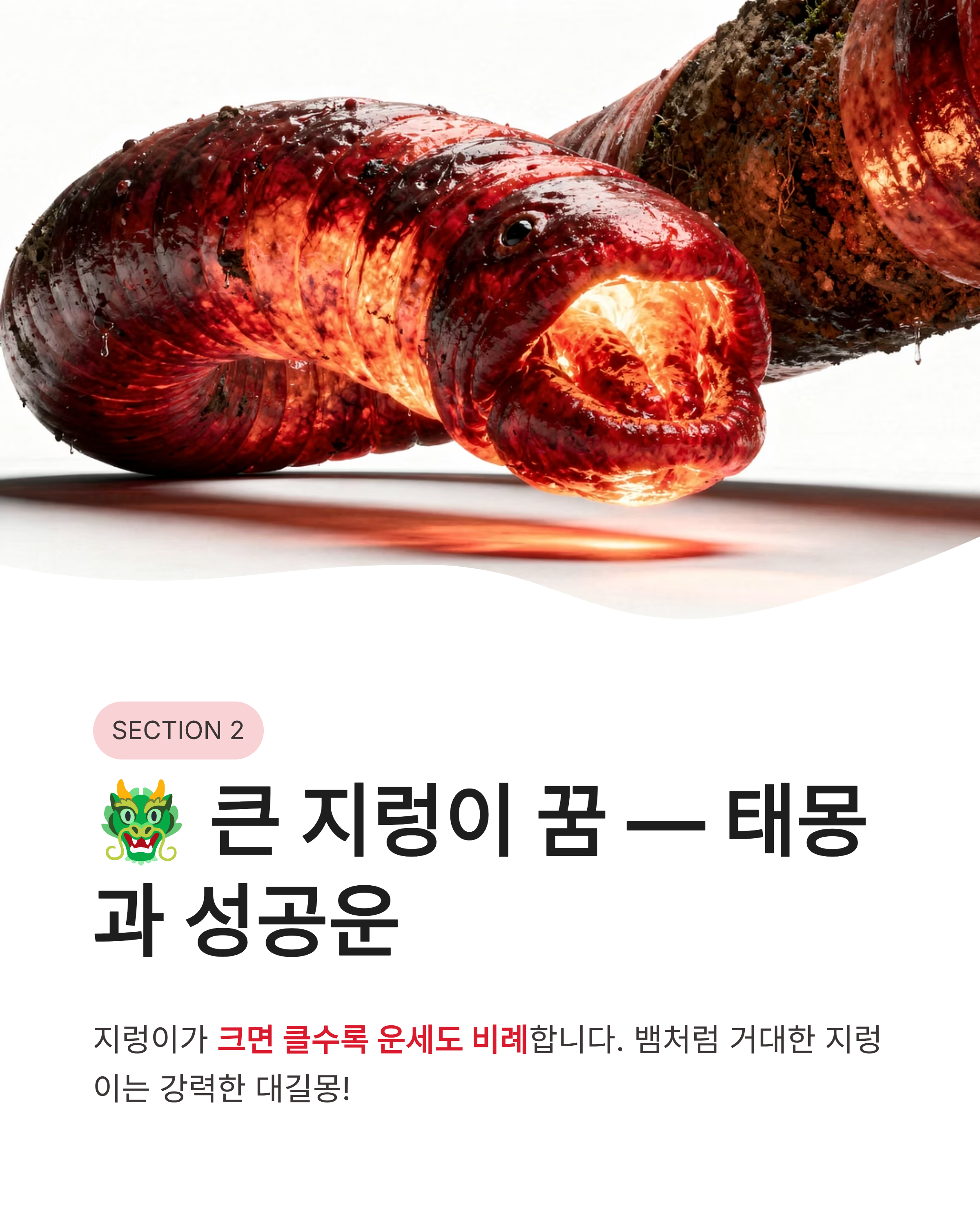 지렁이 꿈 해몽, 큰 지렁이 꿈, 태몽, 지렁이 먹는꿈, 몸에서 지렁이 나오는꿈 해몽