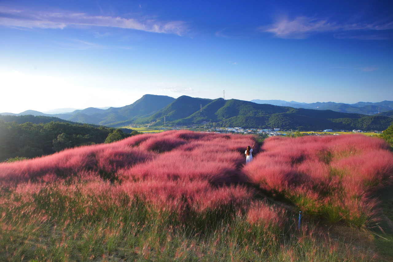 칠곡 가산수피아