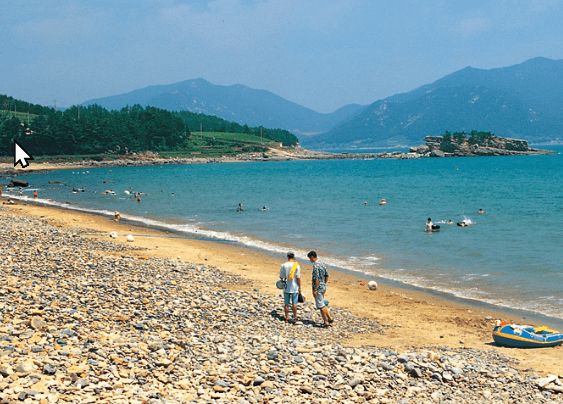 월포해수욕장과 사촌해수욕장