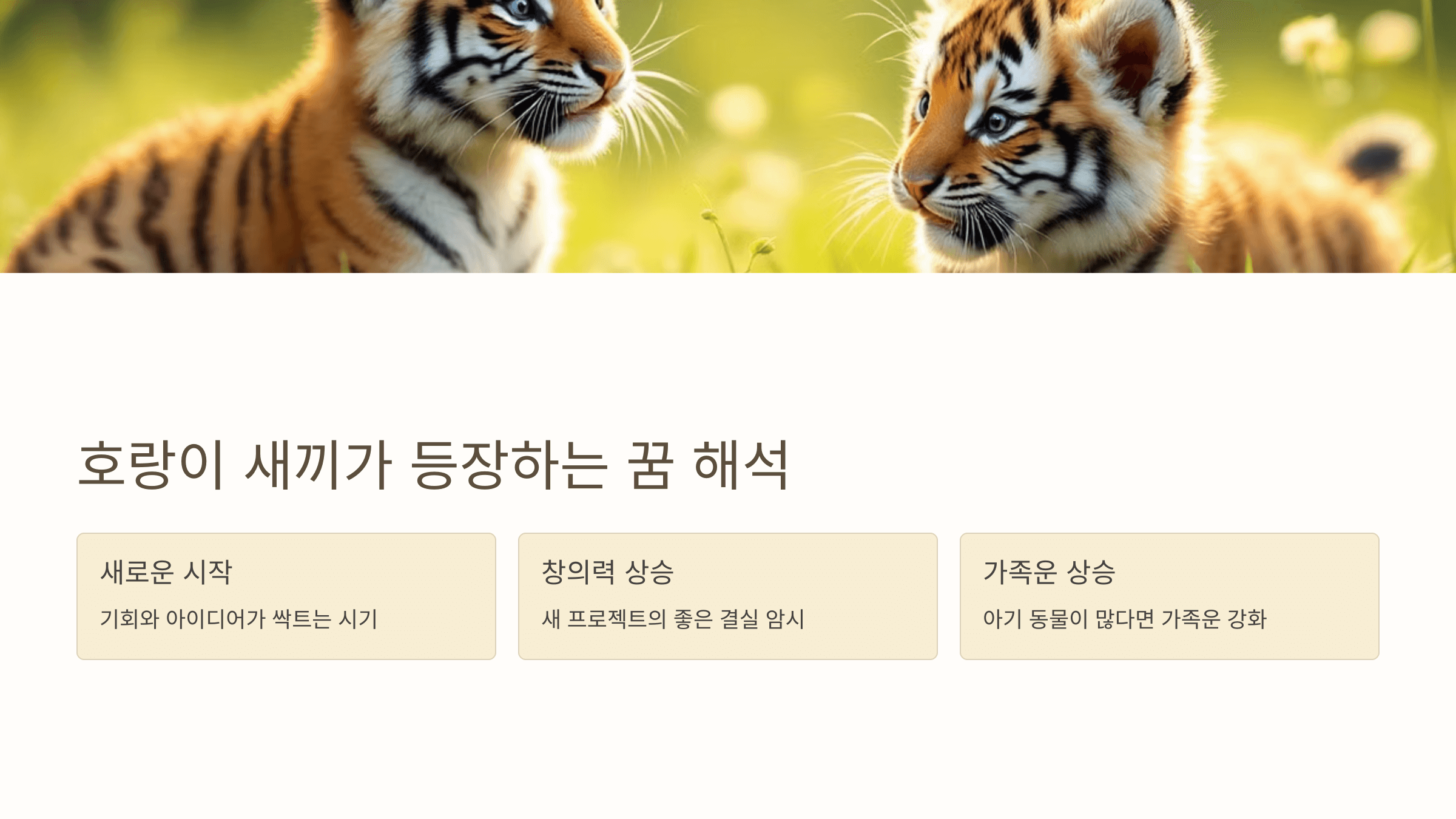 호랑이 사진입니다.