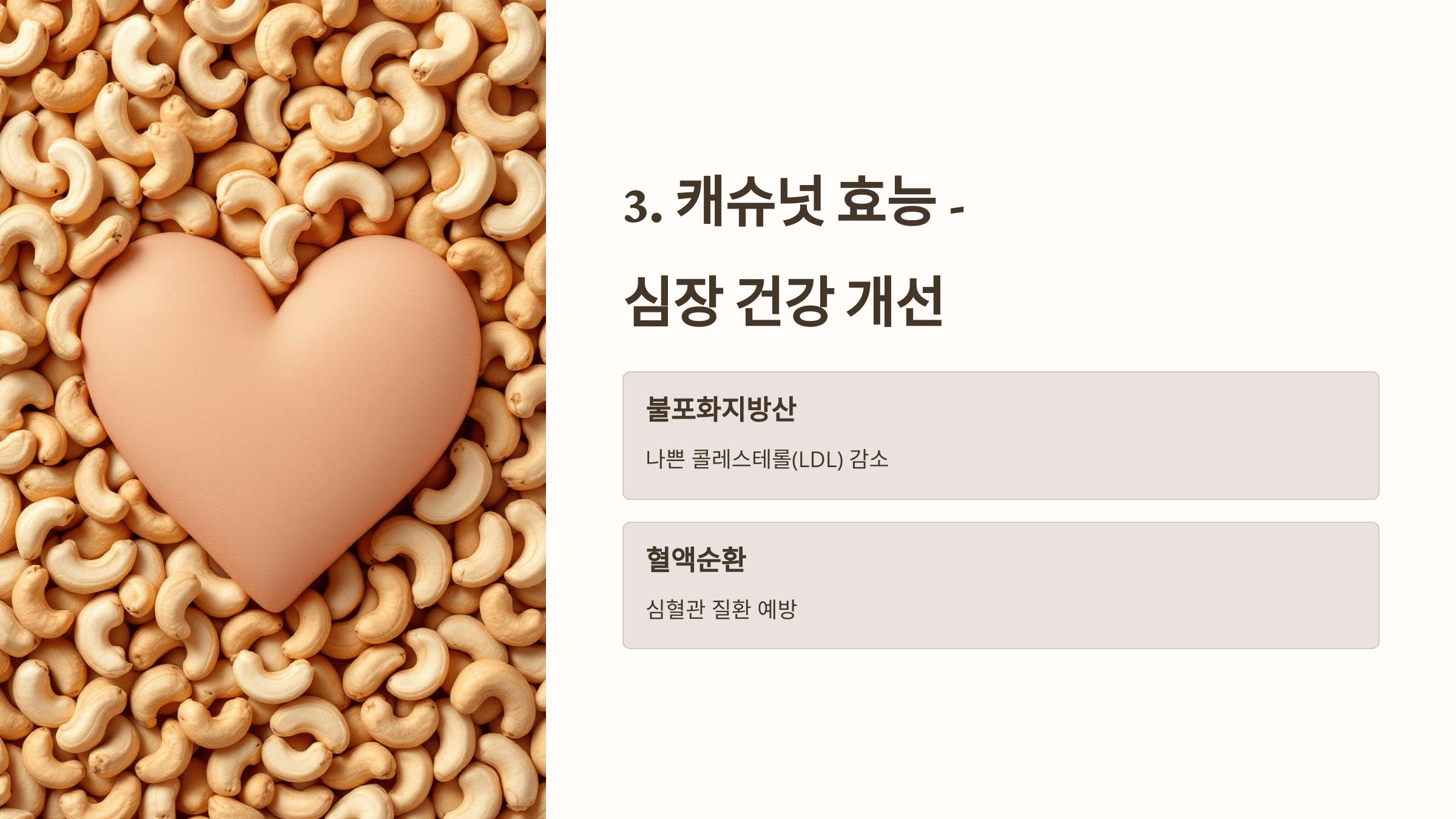 캐슈넛 사진입니다.