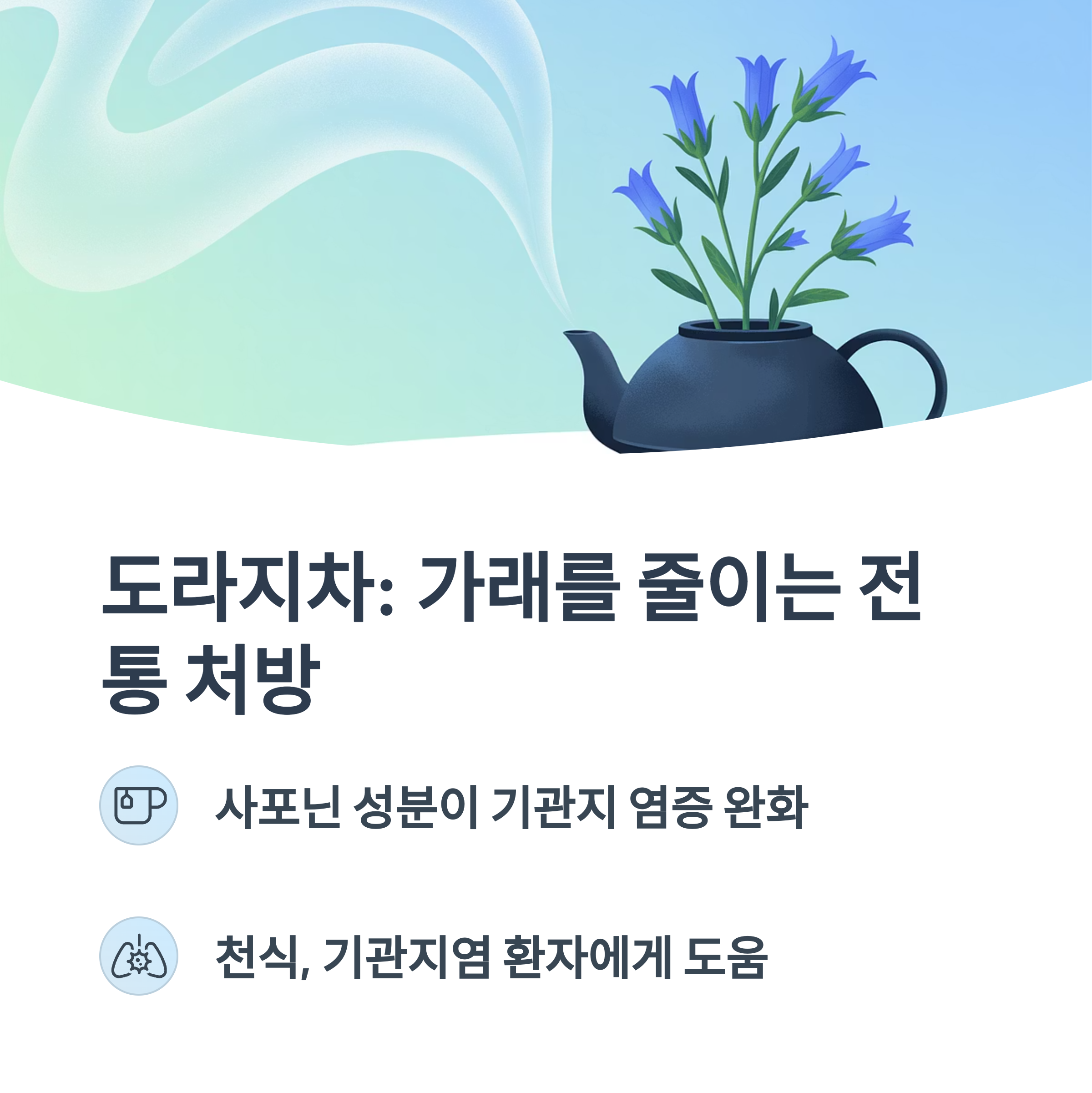 보라색 도라지꽃이 꽂힌 주전자에서 김이 올라오는 일러스트 이미지. "도라지차: 가래를 줄이는 전통 처방"이라는 문구와 함께 도라지의 사포닌 성분이 기관지 염증을 완화하는 효과가 소개됨.