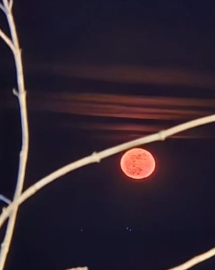 정은우, 생전 문자 공개 인스타그램 장국영 사진 메시지 안타까운 죽음