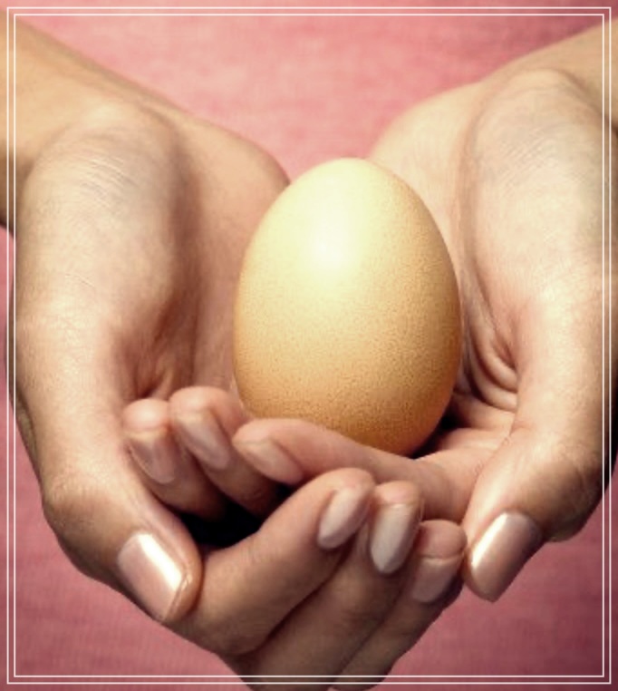 삶은 계란 효능, 꾸준히 섭취하면 이런 좋은 점이!