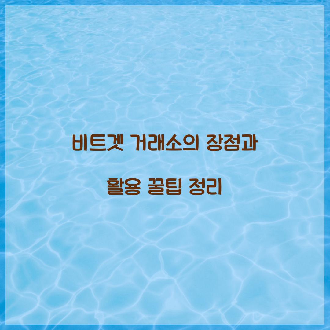 비트겟 거래소