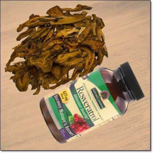 레스베라트롤 효능