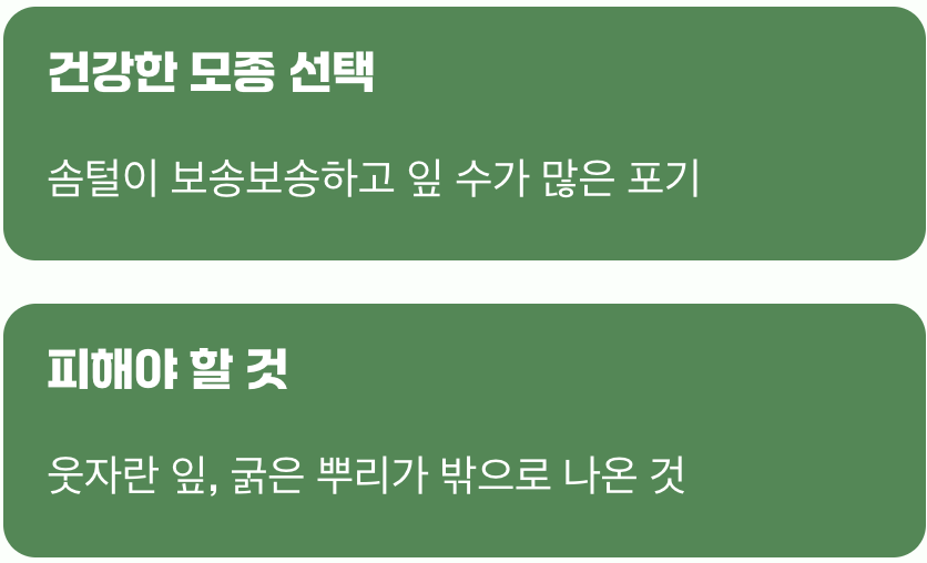 첫 만남, 어린 포기 데려오기